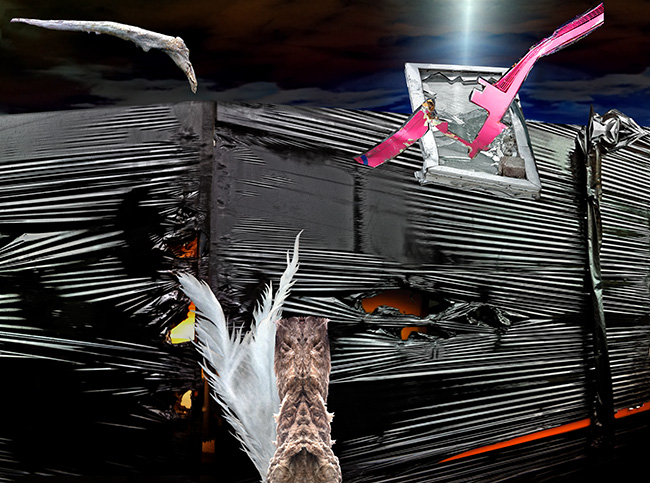 DANGEROUS MOONLIGHT